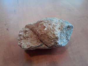 Fosile de vanzare