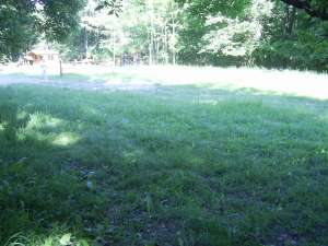 Vand teren zona Luncani -Slatina accept variante auto