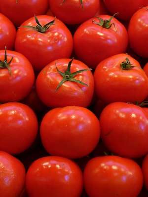 intermediez  achizitionarea fructe  si legume  Grecia
