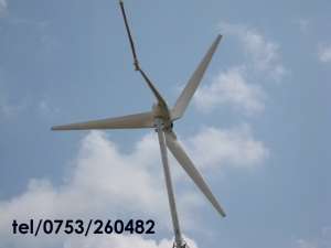 Eoliana