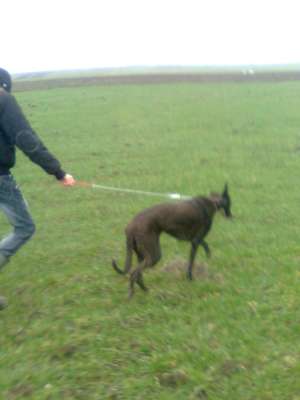 vand ogar (catea)