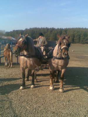 vind 2 iepe