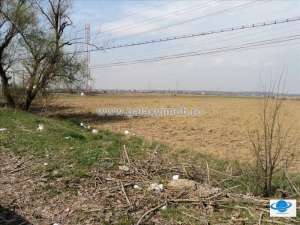 Teren - 10000 mp Sud