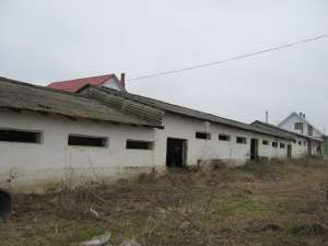casa rate la sosea