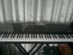 Vand roland g800 in stare noua
