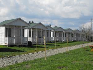 Camping Carei