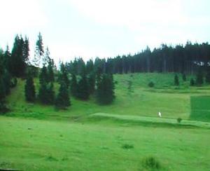 Vand terenuri 30500 mp in MIERCUREA CIUC