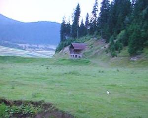 Vand terenuri 30500 mp in MIERCUREA CIUC