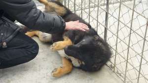 Timy