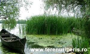 Loturi in zona de pescuit  Lac Coada Snagovului,  Peris