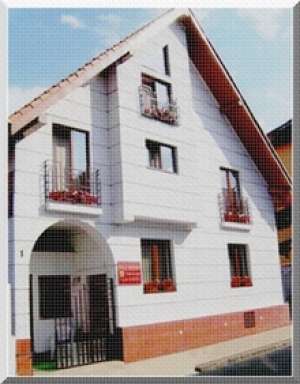 Cazare Sibiu Vila Andra***