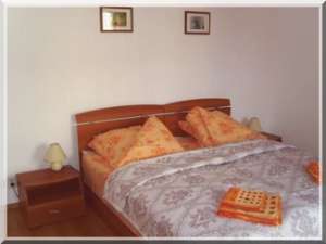 Cazare Sibiu Vila Andra***