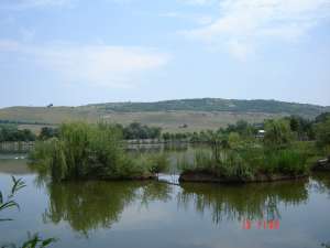 balta de pescuit