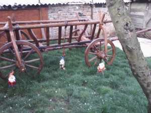 vind car vechi lacuit rustic