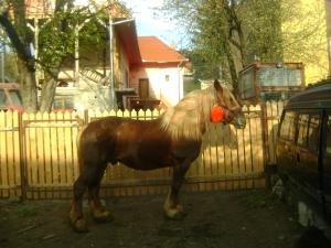 VAND ARMASAR SEMI GREU