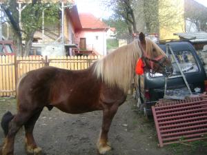 VAND ARMASAR SEMI GREU