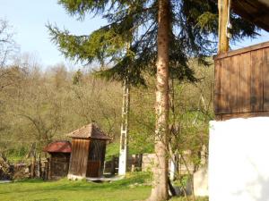 REVELION  CASA PARTIZANILOR OCOLIS,      CHEILE RUNCULUI