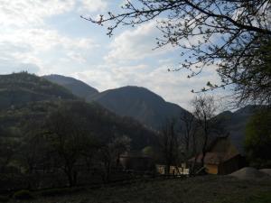 REVELION  CASA PARTIZANILOR OCOLIS,      CHEILE RUNCULUI