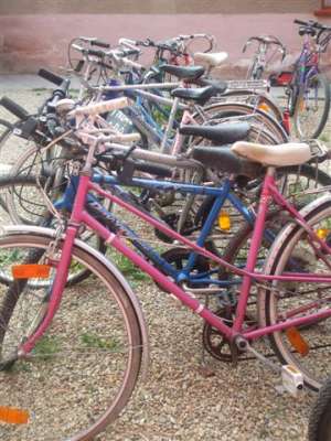 Vand biciclete import Austria