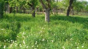Teren De Vanzare In Breaza