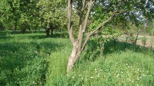 Teren De Vanzare In Breaza