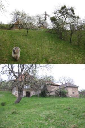 5000 mp teren si casa in Cornitel