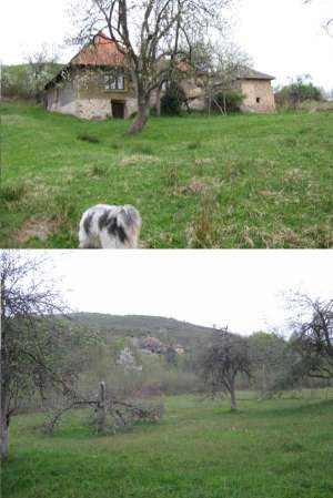5000 mp teren si casa in Cornitel