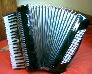 Acordeon Parrot 41/120