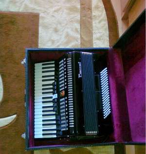 Acordeon Parrot 41/120