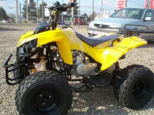 ATV  MODEL  RENEGADE  2011