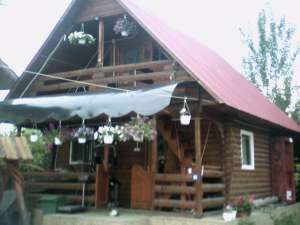 cabane din lemn