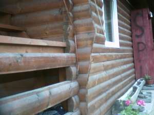 cabane din lemn