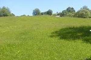 Bucovina