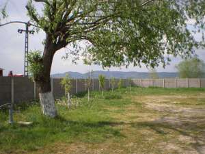 VAND TEREN ZONA BUNA