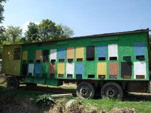 vind pavilion  apicol