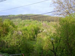 Vila Munte