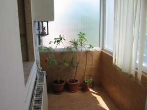 3 CAMERE GORJULUI
