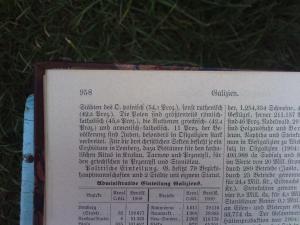 Vand haina de blana de astrahan (extrafin nr.52)de culoare neagra si gulerul de culoare gri si mai v
