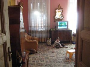 VAND - 2 APARTAMENTE CU 3 CAMERE - CENTRAL