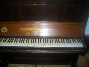 PIANINA VIENEZA