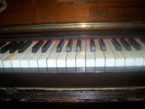 PIANINA VIENEZA