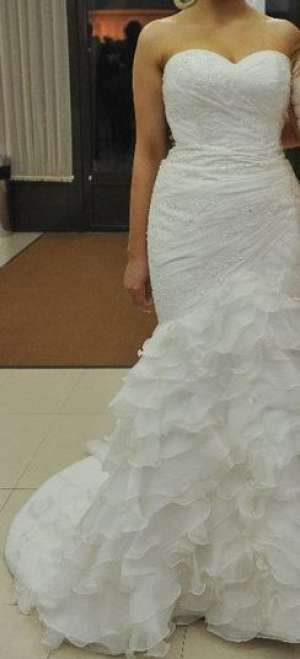 ROCHIE DE MIREASA SAN PATRICK