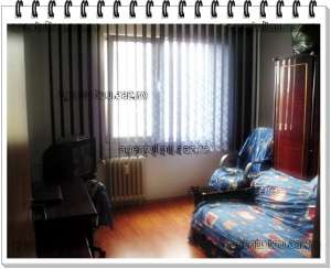 Apartament de vanzare 2 camere impecabil 46000 euro