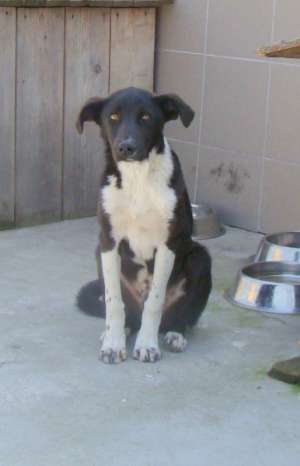 Billy