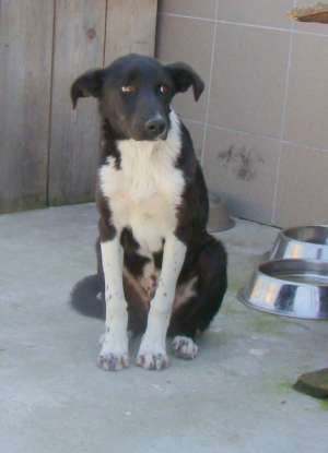 Billy