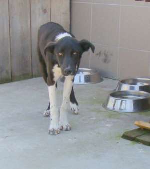 Billy