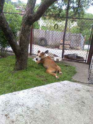 VAND AMSTAFF!!!