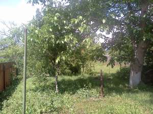 Vanzare