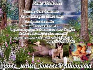 ursitoare tg jiu 300RON
