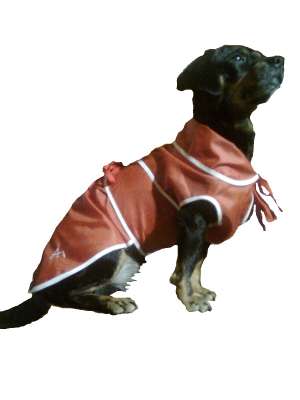 Haine pentru animale de companie